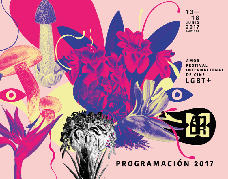 festival amor2.png