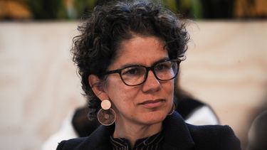 Exministra del Medio Ambiente, Maisa Rojas - Agencia Uno