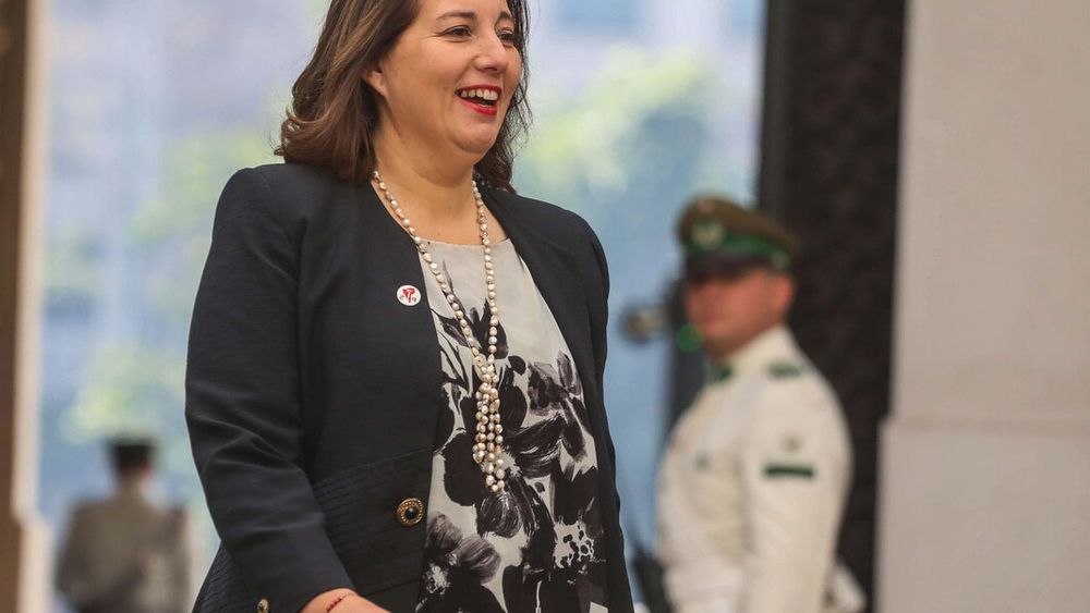 Paulina Vodanovic a un paso del Senado: PS definirá el domingo reemplazo de Elizalde