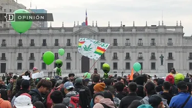 El Desconcierto | 14448 marcha cultiva tus derechos.webp