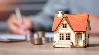 El Desconcierto | 11856 diseno sin titulo 2025 02 20t152645.webp