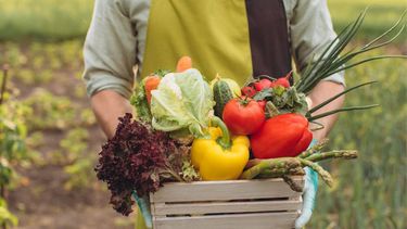 En el Día Mundial de la Gastronomía Sostenible, 12 países preservan tradiciones culinarias que sirven como herramientas de resistencia y transformación social.
