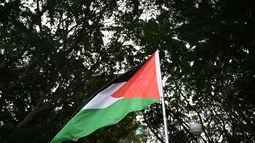 Canadá sigue a Francia y anuncia reconocimiento del Estado palestino en próxima Asamblea de la ONU en septiembre
