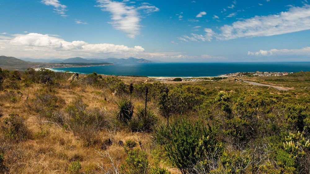 Los Molles: La urgencia de declarar el Parque Puquén como Santuario de la Naturaleza