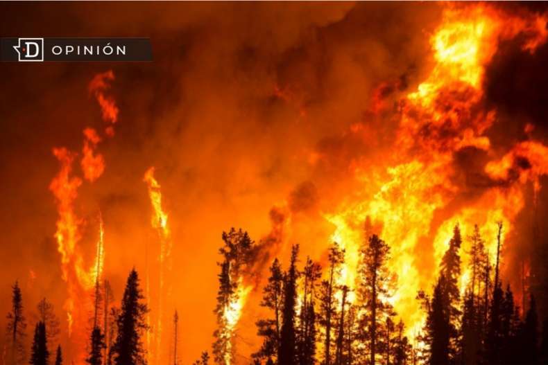 Hawaii Incendio e1692829375634.png