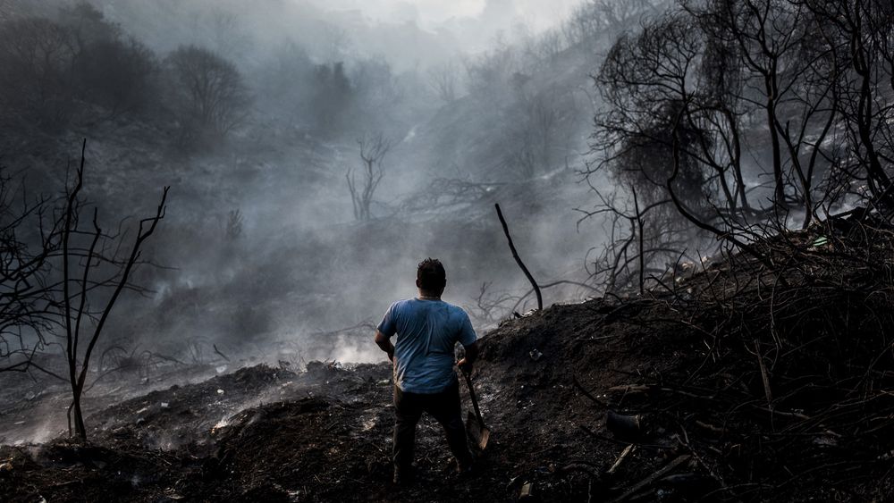 FOTOS| Humo en las quebradas: El registro del incendio en Valparaíso