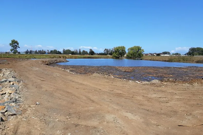 26206 diseno sin titulo 49.webp