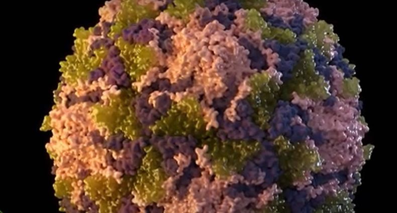 Polio VIDEO NEWS USA.jpg