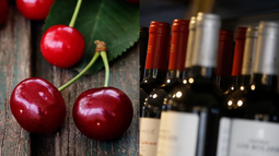 Chile llega a China con 25 empresas que cautivarán paladar con vino, salmón, pisco y frutas