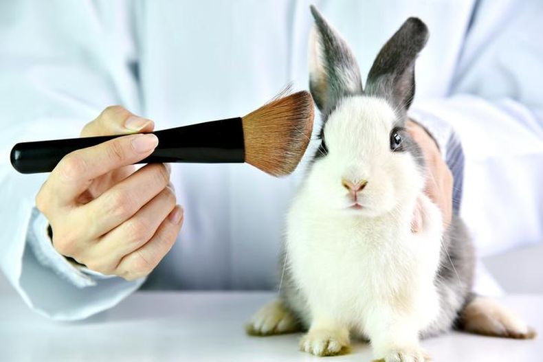 libre de crueldad animal.jpeg