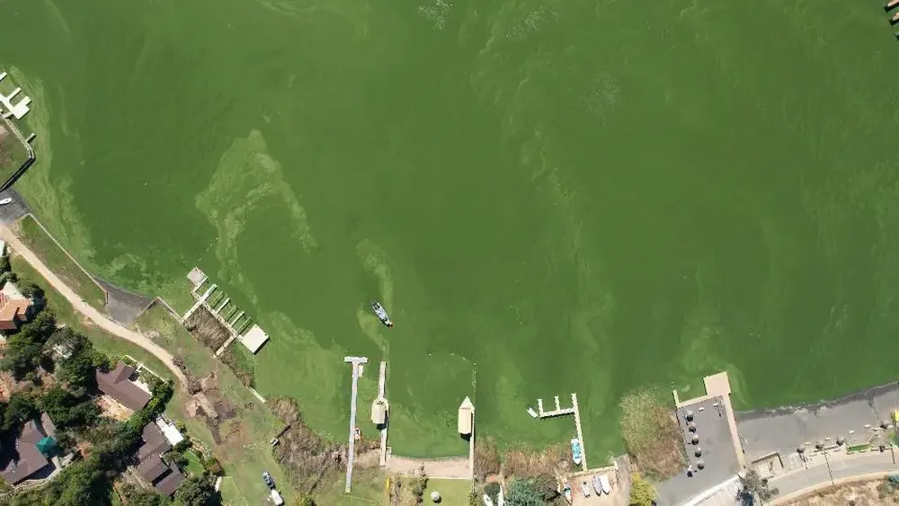 Contaminación en Vichuquén: Informe plantea restaurar el suelo y el bosque nativo para limpiar el lago