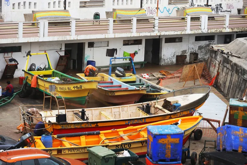 15432 pesca merluza.webp