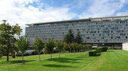 La OMS gasta más dinero en viajes que en combatir VIH, tuberculosis y malaria