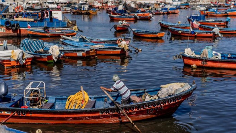VIDEO | Grau explica cómo aumenta la cuota artesanal e industrial licitada en nueva ley de pesca
