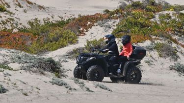¿Jeepeo en las dunas? Congreso estudia legislar sobre el tránsito de vehículos en playas