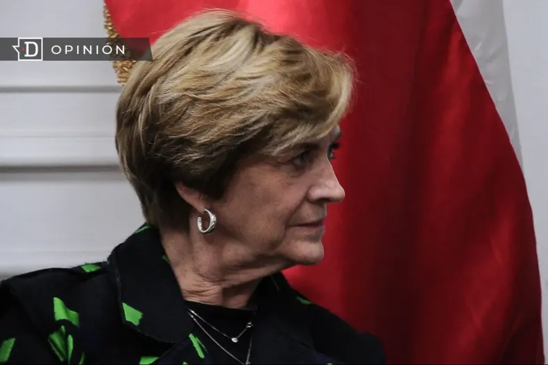 19004 evelyn matthei.webp