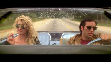 El Desconcierto | wild at heart.jpg