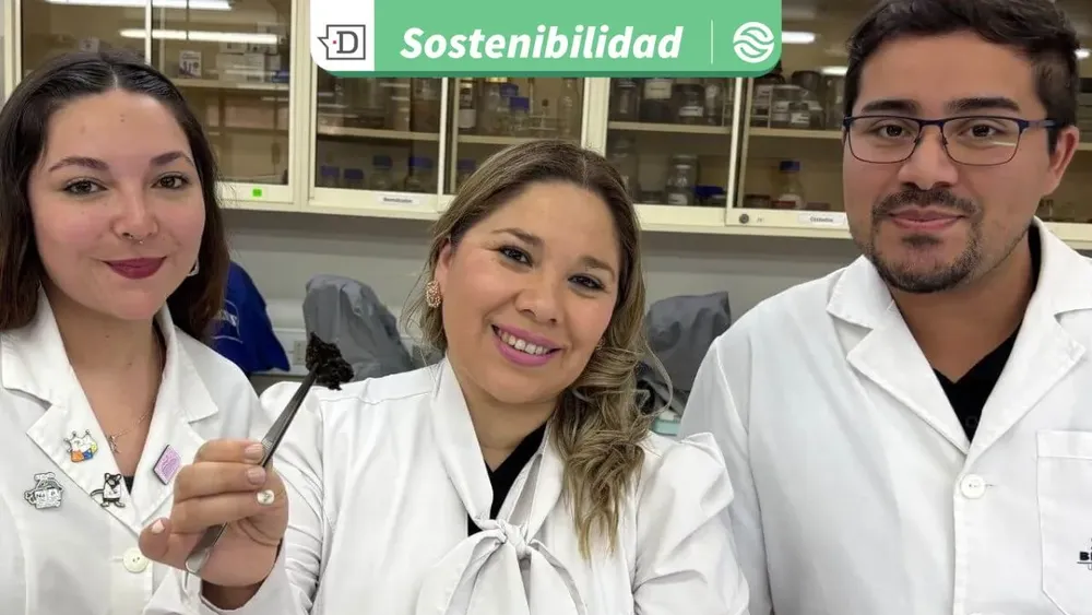 De Talca a la COP30 en Brasil: Proyecto universitario busca aportar a la seguridad alimentaria a escala mundial