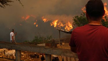 Despliegan expertos en zona de incendio para resguardar la salud y seguridad de los voluntarios