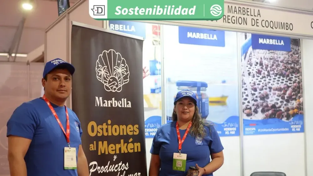 De desecho a conserva sustentable: Emprendedora de Coquimbo utiliza ostiones de bajo calibre para crear producto gourmet