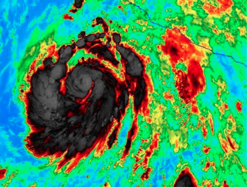 Estelle nota.jpg.png