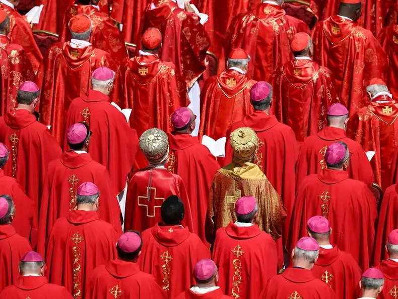 15040 cardenales.webp