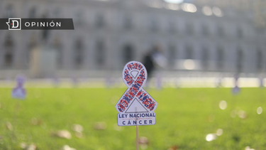 El Desconcierto | Ley del Cancer e1713191741735.png