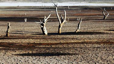 El Desconcierto | A_UNO_500538.jpg