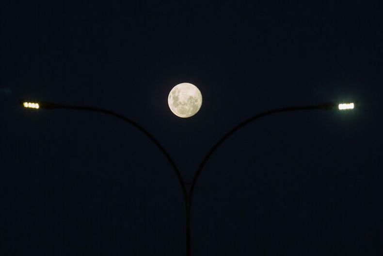 A_UNO_1272711_e8229.jpg