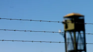 De 2.177 solicitudes de libertad de presos de 7 cárceles de la RM solo fueron acogidas 33 por Comisión de jueces