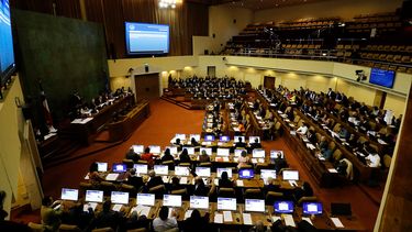 Por amplia mayoría la Cámara de Diputados aprobó el informe sobre adopciones irregulares