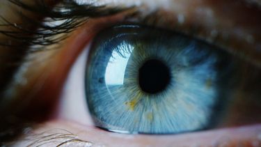 Preocupación por negocio del iris: 200 mil chilenos lo vendieron hasta por $80 mil