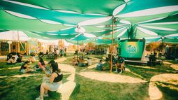 Lollapalooza Chile 2024: Aldea Verde contará con más de 30 organizaciones medioambientales
