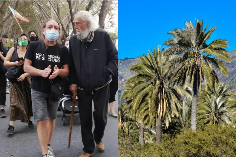 15839 soublette.webp