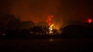 Emergencia en Turquía por incendios forestales - Agencia EFE