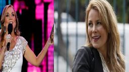 ¿Karen Doggenweiler para reemplazar a Cathy Barriga en Maipú?: La propuesta de Pepe Auth para las municipales 2020