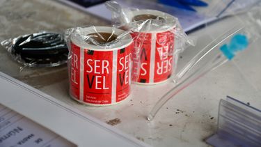 ¿Qué comunas eligen candidatos a alcalde en las primarias este domingo? Revisa el listado