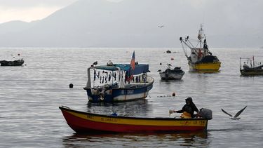 Pescador artesanal no quiso ser fiscalizado por Sernapesca: Corte impone multa de $2 millones