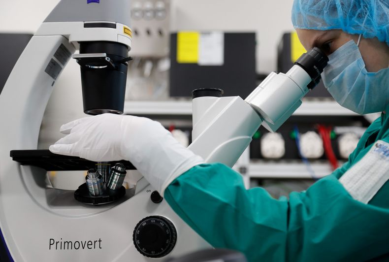 302613_1_5ec94ff1a900c 1 scaled.jpg