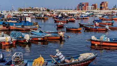 Tenemos dudas razonables, dicen sobre nueva Ley de Pesca 60 mil pescadores artesanales