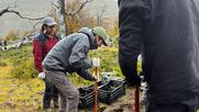 Avanza la recuperación de bosques nativos, con el Plan de Restauración post incendios forestales, festivales en Puerto Varas y jornadas en Torres del Paine.