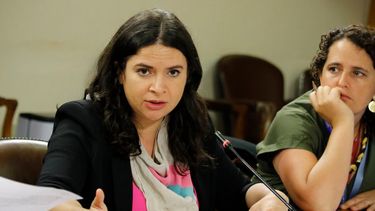 Ministra Antonia Orellana expone riesgos de propuesta ultraderechista sobre el aborto