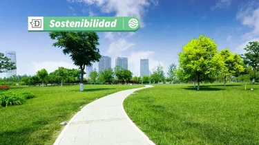 Participa: Consulta pública sobre Estrategia Nacional de Ciudades Verdes con Soluciones basadas en la Naturaleza
