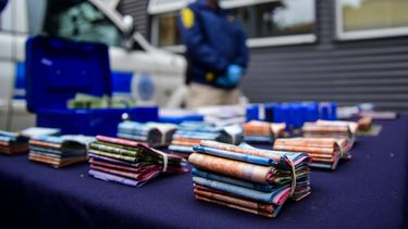 Senador Flores (DC) por ley de Inteligencia Económica: Otorga colmillos al SII y Aduanas