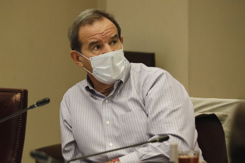 allamand 1.jpg