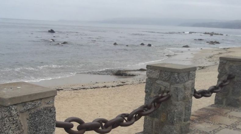 Algarrobo.jpg