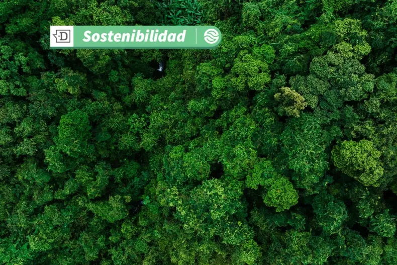 20034 diseno sin titulo 53.webp