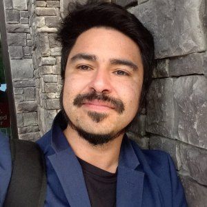 El Desconcierto | Camilo Godoy Pichón