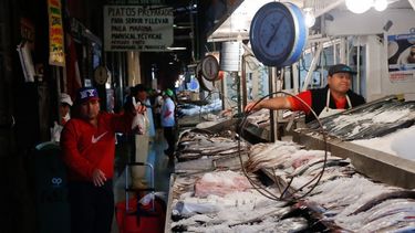 Sernapesca enciende alertas por marea roja en Quellón y decreta emergencia de plaga