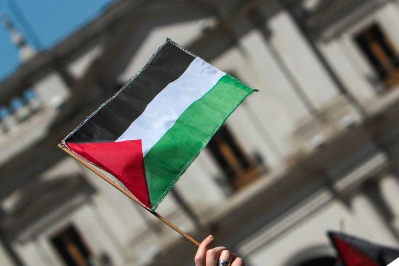 23853 paleatin libre.jpg